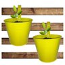 Conjunto Com 2 Cachepot De Metal Para Jardim Suspenso Vertical Grande Amarelo (CACHEPO-3) - 1