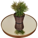 Ver imagem 3 de Mesa Lateral Dourada em Ferro com Tampo em Vidro