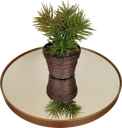 Ver imagem 3 de Mesa Lateral Dourada em Ferro com Tampo em Vidro