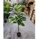 Ver imagem 2 de Planta Artificial Permanente Fícus Elástica Grande Decoração Sala 135cm