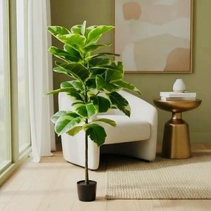 Planta Artificial Permanente Fícus Elástica Grande Decoração Sala 135cm