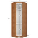 Ver imagem 3 de Modulo Canto Obliquo Para Guarda-roupa Com 01 Porta Cumaru