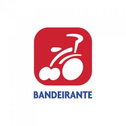 Triciclo Velobaby Passeio & Pedal Bandeirantes - 203 - 2