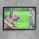 Ver imagem 1 de Quadro Decorativo Animais 57 - Cão e Gatinho-34x49Cm