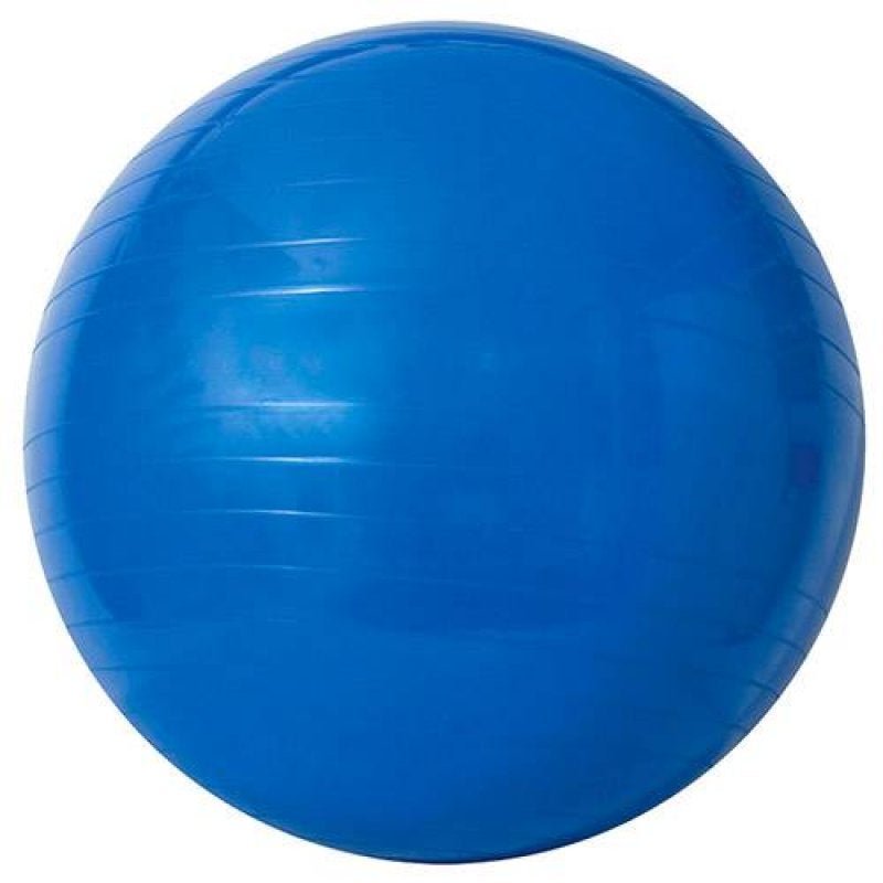 Gym Ball 65cm com Bomba de Ar - Acte Sports