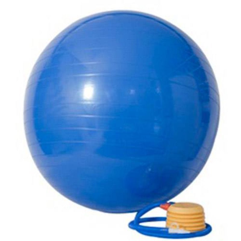 Gym Ball 65cm com Bomba de Ar - Acte Sports - 2