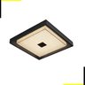 Plafon Zeus Microcristal LED 26W 3000K 2045Lm 53x53cm Bivolt | Starlux 30959-26W-Preto - 1