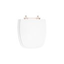 Ver imagem 1 de Assento Sanitário Poliéster para Louça Celite Fit / Versato - Branco - Cód 01 - Ferragem Aço Inox Co