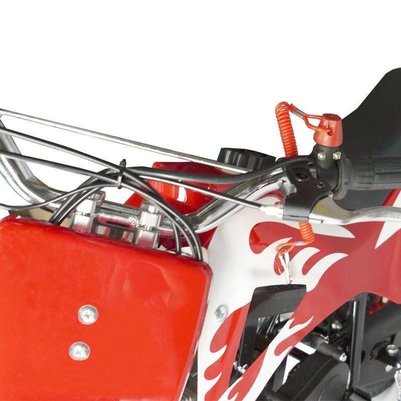 Mini Moto Infantil Gasolina 2 Tempos 49CC Cross Trilha Off Road Importway  DTCR-008 Dirt Vermelha 