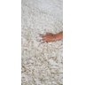 Tapete de Algodão para Sala, Quarto e Escritório - Tamanho 2,00M x 2,50M - Cor Cru Alto - 2