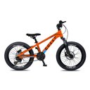 Ver imagem 1 de Bicicleta Aro 20 Colli Dublin Shimano 21v Laranja Neon