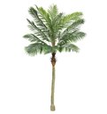 Ver imagem 1 de Planta Artificial Árvore Palmeira Phoenix Real Toque Verde 2,50m