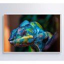 Ver imagem 2 de Quadro Camaleão Cores Vibrantes Medidas 90x60 Cm Impressão Tecido Canvas