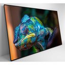 Ver imagem 7 de Quadro Camaleão Cores Vibrantes Medidas 90x60 Cm Impressão Tecido Canvas