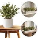 Ver imagem 7 de Kit 7 Buquês de Eucalipto Artificial 40cm com 6 Hastes – Arranjo Decorativo Natural