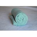 Ver imagem 1 de Cobertor Microfibra Plush Verde Água - Casal