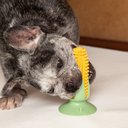 Ver mais imagens de MILHO ESCOVA DENTAL DE TPR COM VENTOSA PARA CÃES PET
