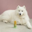 Ver imagem 6 de MILHO ESCOVA DENTAL DE TPR COM VENTOSA PARA CÃES PET