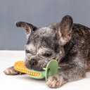 Ver imagem 5 de MILHO ESCOVA DENTAL DE TPR COM VENTOSA PARA CÃES PET