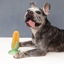 Ver imagem 7 de MILHO ESCOVA DENTAL DE TPR COM VENTOSA PARA CÃES PET