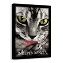 Ver imagem 1 de Quadro Motivacional Gato com Independência - Moldura Preta - 20x30cm