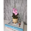 Ver imagem 1 de Arranjo De Mini Orquídea Rosa Vaso Bege Redondo