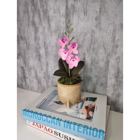 Arranjo De Mini Orquídea Rosa Vaso Bege Redondo