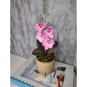 Ver imagem 2 de Arranjo De Mini Orquídea Rosa Vaso Bege Redondo