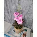 Ver imagem 3 de Arranjo De Mini Orquídea Rosa Vaso Bege Redondo