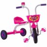Triciclo 3 Rodas Bicicleta Infantil Menina Ultra Bike Rosa - 1