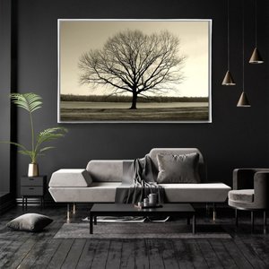 Quadro Decorativo Horizontal Arvore Galhos Secos Com Moldura e Sem Vidro 40X60