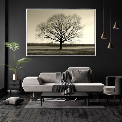 Quadro Decorativo Horizontal Arvore Galhos Secos Com Moldura e Sem Vidro 40X60