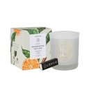 Ver imagem 1 de Vela Perfumada Mandarina Ceylon Lenvie 210g