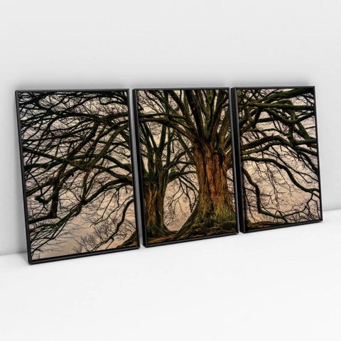 Kit Quadro Decorativo 3 Telas Canvas Arvore da Vida e Suas Raízes Tacolado Moldura Flutuante 4,5cm P