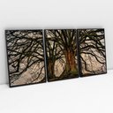 Ver imagem 1 de Kit Quadro Decorativo 3 Telas Canvas Arvore da Vida e Suas Raízes Tacolado Moldura Flutuante 4,5cm P