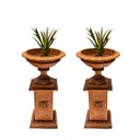 Ver imagem 1 de Vaso Arcos da Lapa c/ Base Flores Ferro Fundido o Par