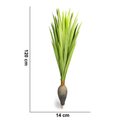Ver imagem 2 de Planta Artificial Dracena Garrafa Real Toque X37 Verde 120 Cm F04 - D'Rossi