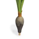 Ver imagem 3 de Planta Artificial Dracena Garrafa Real Toque X37 Verde 120 Cm F04 - D'Rossi