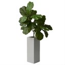 Ver imagem 6 de Mini Árvore Ficus Lyrata Artificial 85cm Silicone Toque Real Planta Decorativa Premium Hiper-Realist