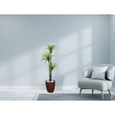 Ver imagem 2 de Planta Artificial Árvore Yucca 1,50m 3 Folhas Kit + Vaso S. Marrom 30cm