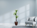 Ver imagem 2 de Planta Artificial Árvore Yucca 1,50m 3 Folhas Kit + Vaso S. Marrom 30cm