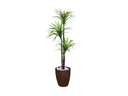 Ver imagem 1 de Planta Artificial Árvore Yucca 1,50m 3 Folhas Kit + Vaso S. Marrom 30cm