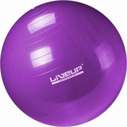 Bola Suíça LIVEUP para Pilates 55 CM LS3221 55 - 1