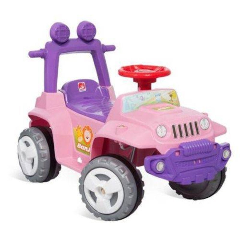 Banjipe Passeio e Andador Rosa 1056 - Bandeirante é boa?