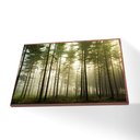 Ver imagem 1 de Quadro Árvores Verdes Canvas com Vidro