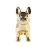 Cofre Buldog Frances em Porcelana Dourado - 1