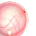 Ver imagem 3 de Plafon Murano Vidro 30cm 2 Lâmpadas E-27 Max 60W Cor Rosa com Garra Branca