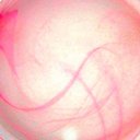 Ver imagem 5 de Plafon Murano Vidro 30cm 2 Lâmpadas E-27 Max 60W Cor Rosa com Garra Branca