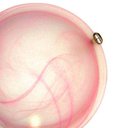 Ver imagem 2 de Plafon Murano Vidro 30cm 2 Lâmpadas E-27 Max 60W Cor Rosa com Garra Dourada