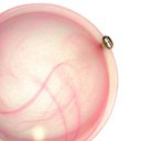 Ver imagem 3 de Plafon Murano Vidro 30cm 2 Lâmpadas E-27 Max 60W Cor Rosa com Garra Dourada